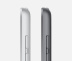 iPad 10,2" (2021) 256gb / Wi-Fi / Silver