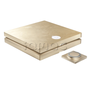 Купить Интегральный усилитель Devialet Astra Dual Opéra de Paris (Gold Leaf)