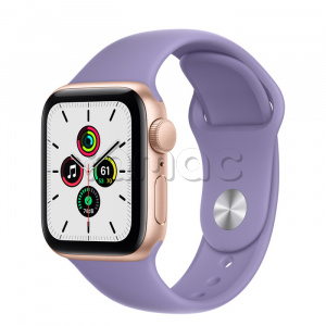 Купить Apple Watch SE // 40мм GPS // Корпус из алюминия золотого цвета, спортивный ремешок цвета «Английская лаванда» (2020)