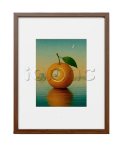 Купить Умная рамка Fraimic Smart E Ink Canvas, 31,5" (Large Canvas)