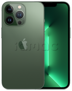Купить iPhone 13 Pro (Dual SIM) 256Gb Alpine Green / Альпийский зеленый
