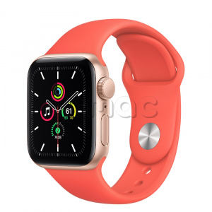 Купить Apple Watch SE // 40мм GPS // Корпус из алюминия золотого цвета, спортивный ремешок цвета «Розовый цитрус» (2020)