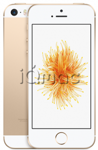 Купить iPhone SE 128Gb Gold