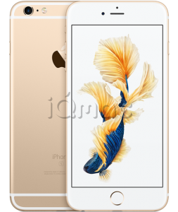 Купить Apple iPhone 6S Plus 16Гб Gold