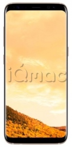 Купить Смартфон Samsung Galaxy S8 64Gb Желтый топаз