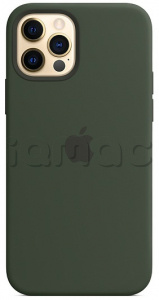 Силиконовый чехол MagSafe для iPhone 12 Pro Max, цвет «Кипрский зелёный»