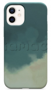 Чехол OtterBox Figura Series для iPhone 12, бирюзовый цвет