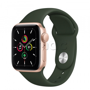 Купить Apple Watch SE // 40мм GPS // Корпус из алюминия золотого цвета, спортивный ремешок цвета «Кипрский зелёный» (2020)