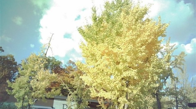 resize1765433879436.jpg resize1765433879436.jpg