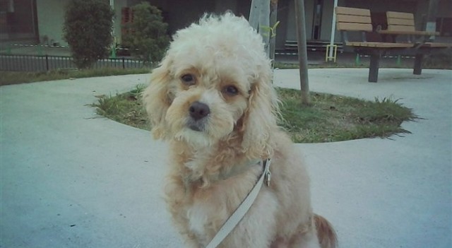 resize1765433879414.jpg resize1765433879414.jpg