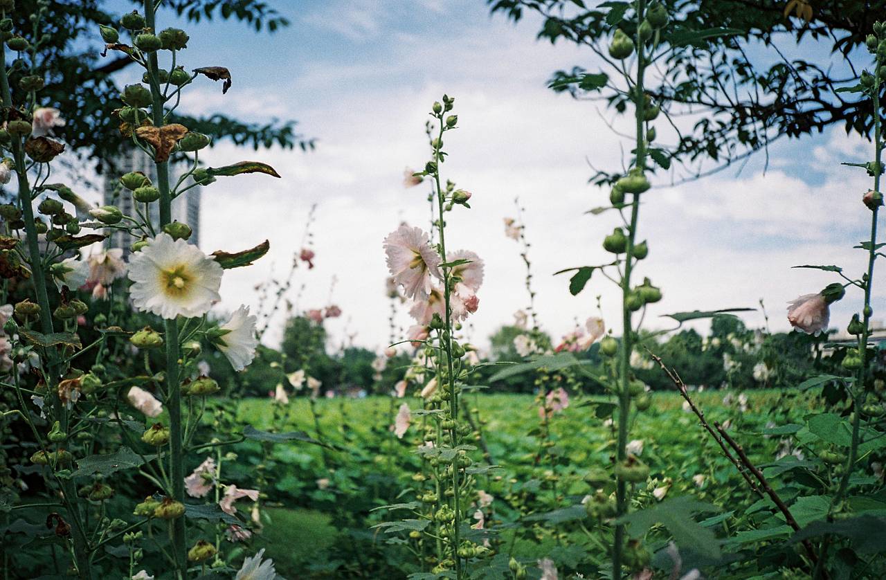 640x419x2.jpg 640x419x2.jpg