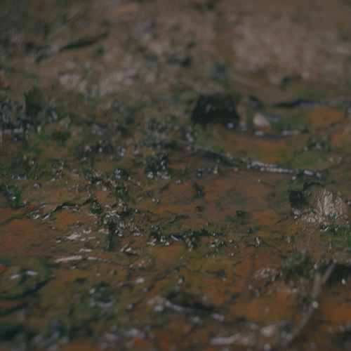 soilcircuitssquare-1.png soilcircuitssquare-1.png