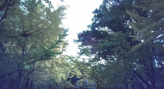 resize1765433879390.jpg resize1765433879390.jpg