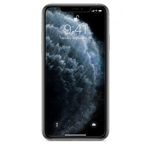 Стекло с защитой информации Belkin InvisiGlass Ultra Privacy для iPhone 11 Pro Max/XS Max 