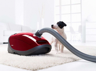 Напольный пылесос с пылесборником Miele Complete C3 Cat&Dog Flex PowerLine (Тayperry red)