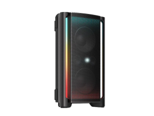 Акустическая система для вечеринок TCL TP300K