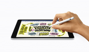 iPad 10,2" (2021) 64gb / Wi-Fi / Space Gray