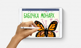 iPad Air (2019) 256Gb / Wi-Fi+ Cellular / Silver