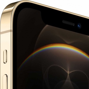 iPhone 12 Pro 256Gb Gold/Золотой