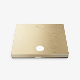 Интегральный усилитель Devialet Astra Solo Opéra de Paris (Gold Leaf)