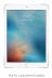 iPad Pro 9,7" 256gb / Wi-Fi + Cellular / Silver