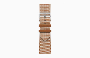 Apple Watch Series 10 Hermès // 42мм GPS+Cellular // Корпус из титана серебристого цвета, ремешок Toile H Single Tour цвета Gold/Écru