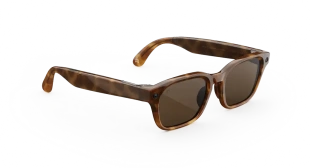 Умные очки Meta* Adventurer, оправа Classic Tortoise, коричневые линзы