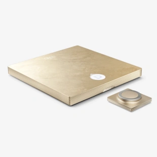 Интегральный усилитель Devialet Astra Solo Opéra de Paris (Gold Leaf)