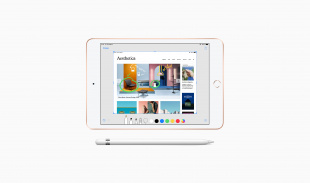 iPad Mini (2019) 64Gb / Wi-Fi+ Cellular / Gold
