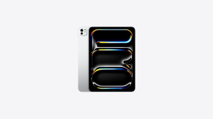 iPad Pro 11" (2024) 2Тb / Wi-Fi + Cellular / Silver (standard glass)