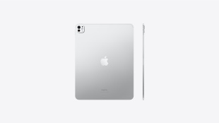 iPad Pro 13" (2024) 256gb / Wi-Fi + Cellular / Silver (standard glass)