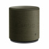 Акустическая система Bang & Olufsen BeoPlay M5 / Хаки (Infantry Green)