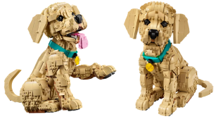 Конструктор Lego Золотистый ретривер (11384)