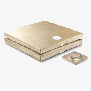 Интегральный усилитель Devialet Astra Dual Opéra de Paris (Gold Leaf)