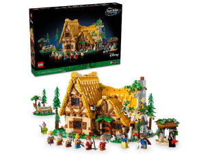 Конструктор Lego Disney Princess Snow White and the Seven Dwarfs' Cottage / Белоснежка и домик семи гномов (43242)