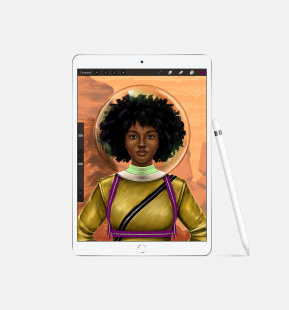iPad Air (2019) 256Gb / Wi-Fi+ Cellular / Silver