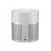 Bose Акустическая система Home Speaker 300 (Lux silver)