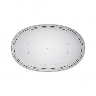 Bose Акустическая система Home Speaker 500 (Lux silver)