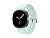 Купить  Samsung Galaxy Watch8 (40 мм) Wifi+LTE, корпус серый графит, спортивный ремешок мятного цвета
