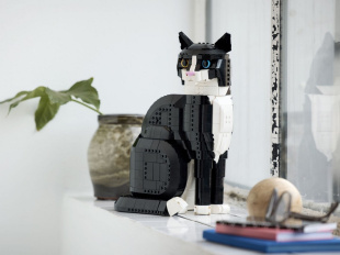 Конструктор LEGO Ideas Tuxedo Cat / Кот окраса «Смокинг» (21349)